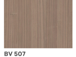 BV 507 Noyer européen