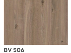 BV 506 Noyer sauvage